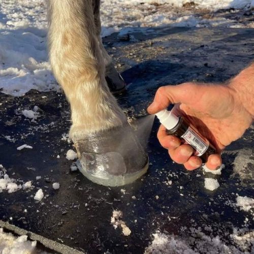 EasyShoe Insta-Set Super Glue Accelerator