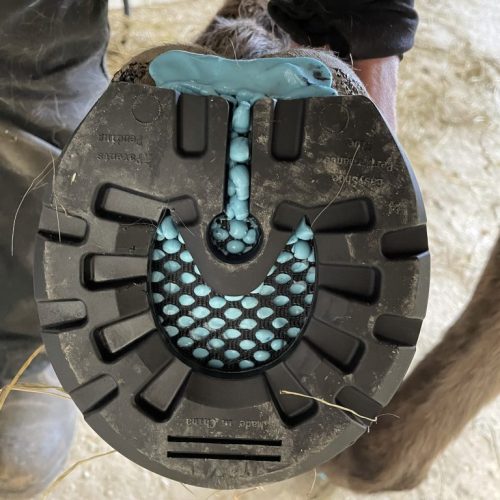 EasyShoe Performance
