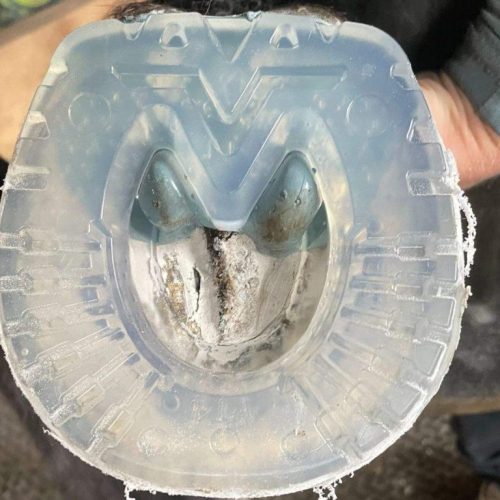 EasyShoe Versa/Carréstep Grip Glue