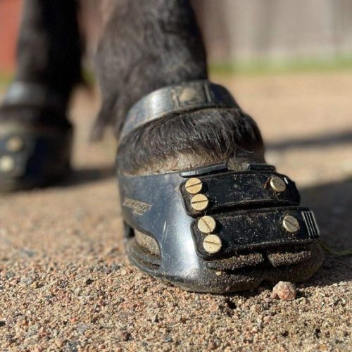 Scoot Boot
