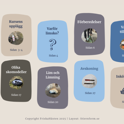 E-bok om limskoning