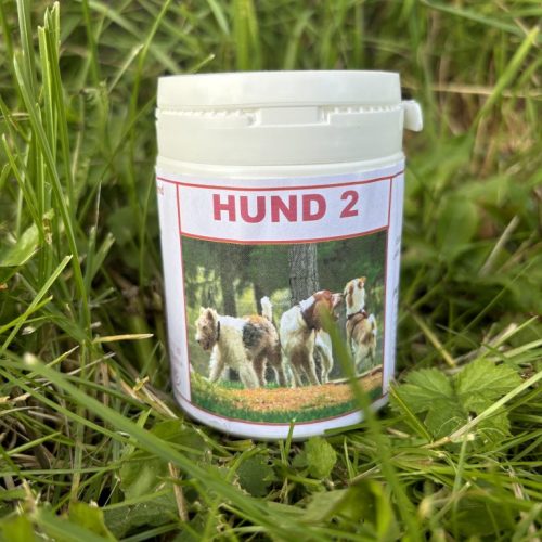 Hund 2