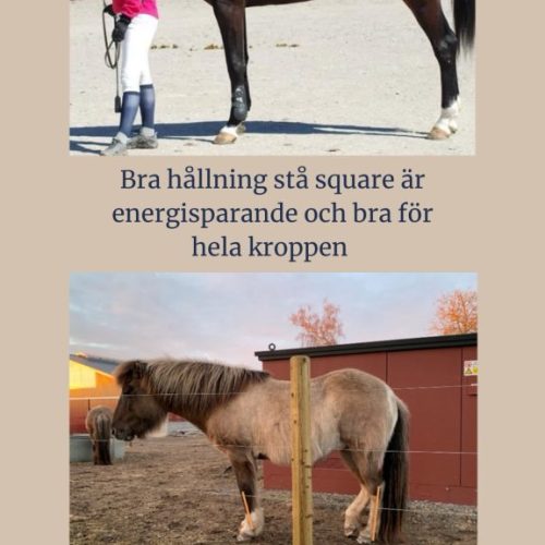 Limskokurs i Floby 23-25 maj